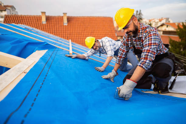 Best Flat Roof Repair Services  in Maquoketa, IA