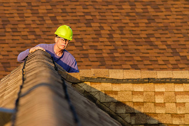 Best Roof Leak Repair  in Maquoketa, IA
